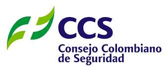 CSS